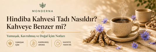 Hindiba Kahvesi Tadı Nasıldır? Kahveye Benzer mi?
