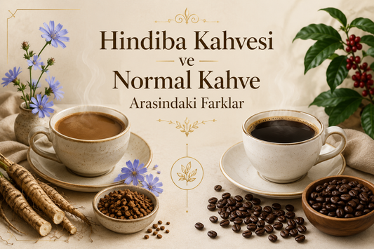 Hindiba Kahvesi ve Normal Kahve Arasındaki Farklar